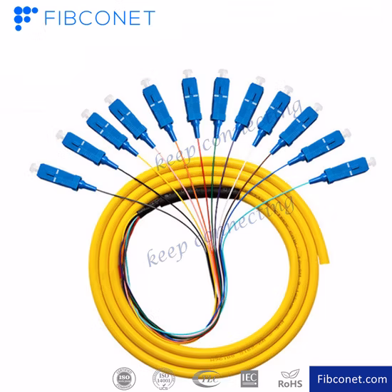FTTH 12cores Sc APC Upc Sm monomode Simplex 0,9 mm tresse à fibre optique avec gaine en PVC